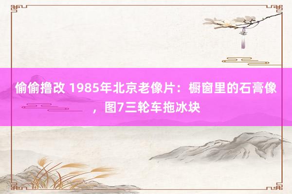 偷偷撸改 1985年北京老像片:橱窗里的石膏像,图7三轮车拖冰块