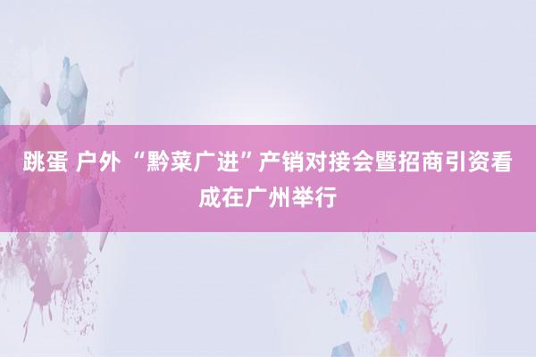 跳蛋 户外 “黔菜广进”产销对接会暨招商引资看成在广州举行