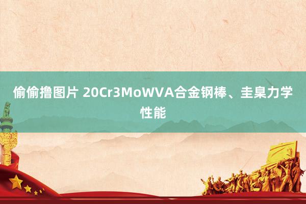 偷偷撸图片 20Cr3MoWVA合金钢棒、圭臬力学性能