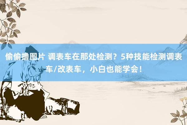偷偷撸图片 调表车在那处检测？5种技能检测调表车/改表车，小白也能学会！