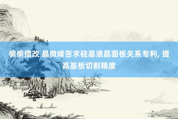 偷偷撸改 晶微峰苦求硅基液晶面板关系专利， 提高基板切割精度
