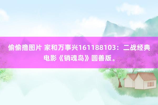 偷偷撸图片 家和万事兴161188103：二战经典电影《销魂岛》圆善版。